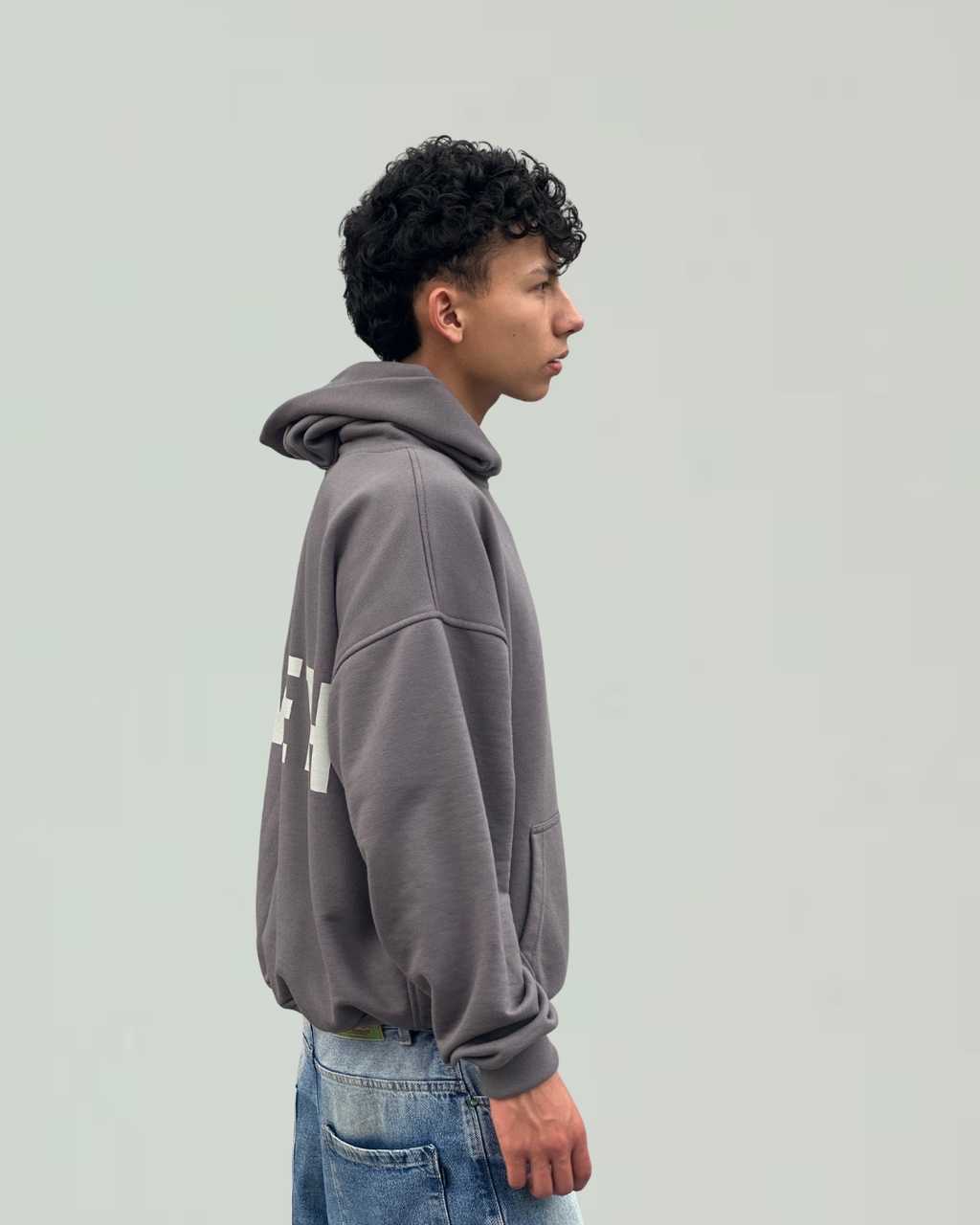 Hoodie Gris Basic