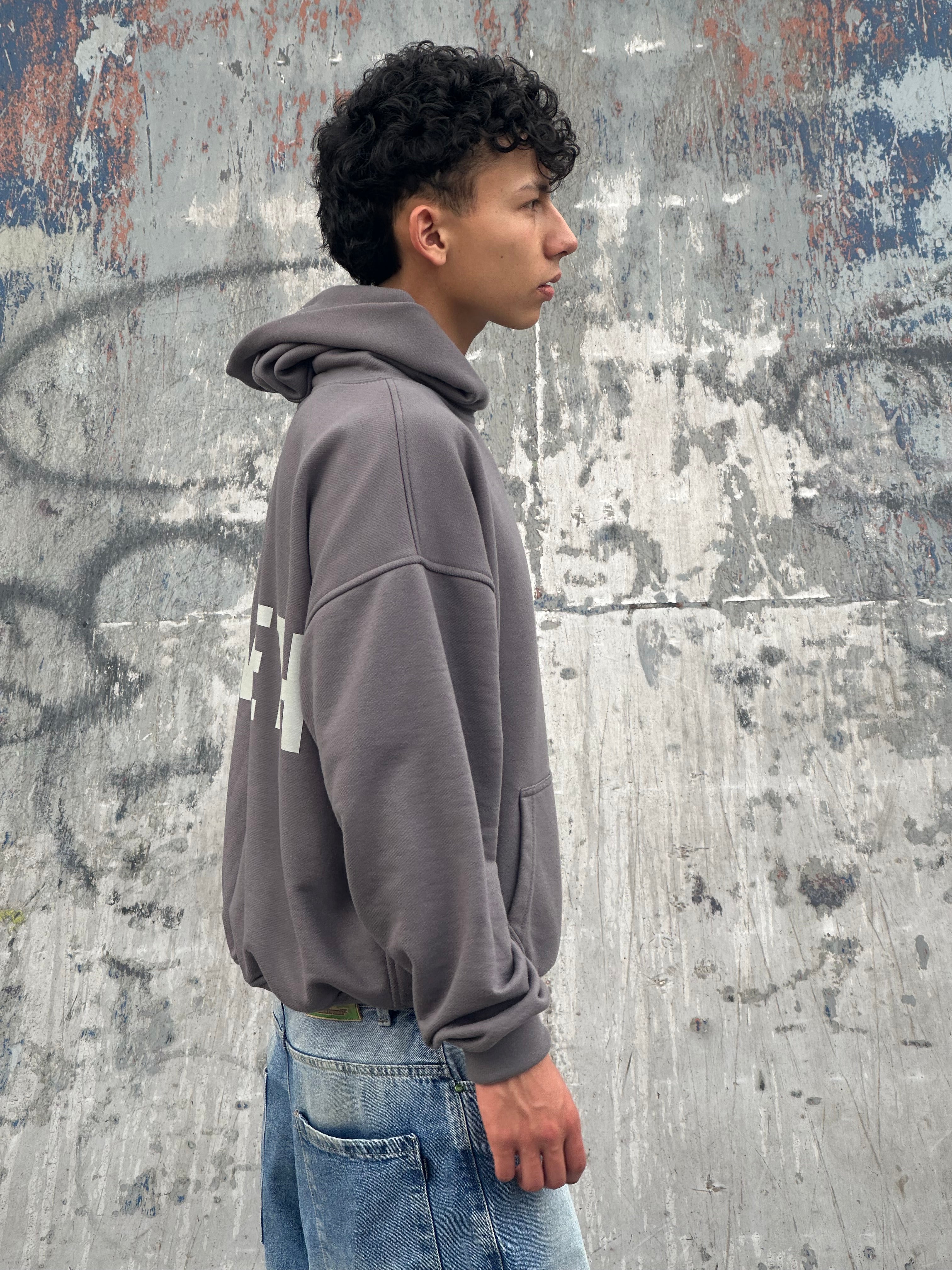 Hoodie Gris Basic